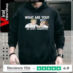 What are You an Idiot Sandwich Funny_Hoodie