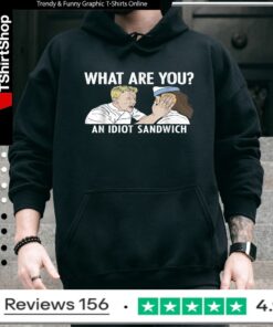 What are You an Idiot Sandwich Funny_Hoodie