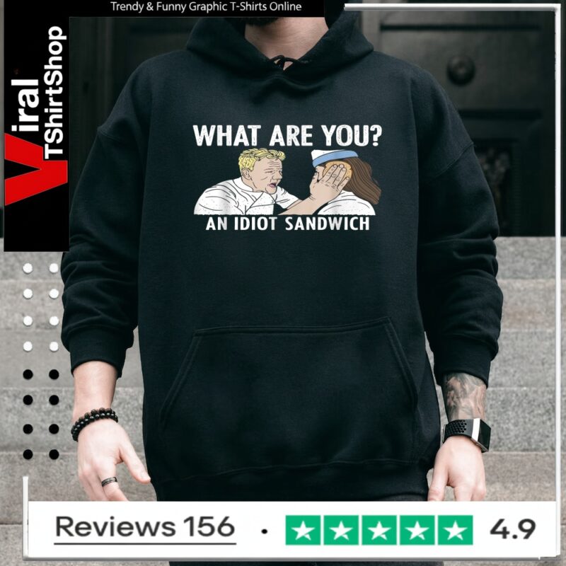 What are You an Idiot Sandwich Funny_Hoodie