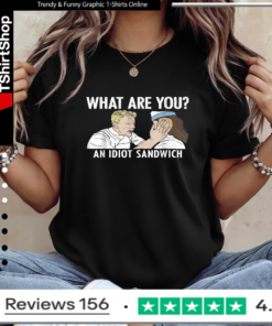 What are You an Idiot Sandwich Funny_Ladies T-Shirt