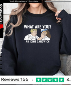 What are You an Idiot Sandwich Funny_Sweatshirt