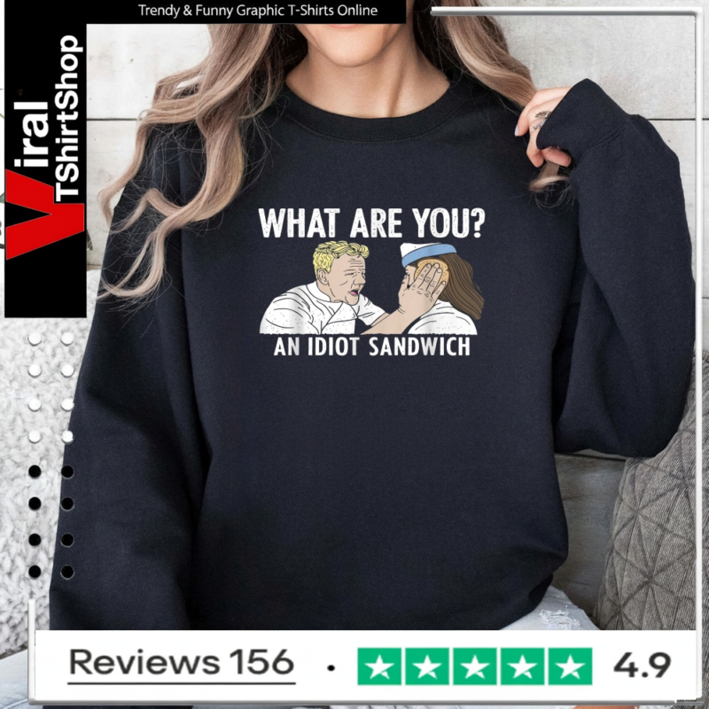 What are You an Idiot Sandwich Funny_Sweatshirt