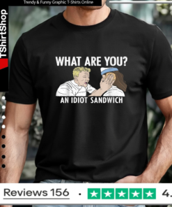What are You an Idiot Sandwich Funny_T-shirt