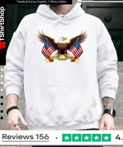 American eagle and american flags_Hoodie