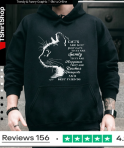 Cats Are Not Just Cats Inspirational Cat Lover_Hoodie