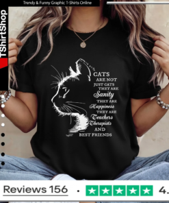 Cats Are Not Just Cats Inspirational Cat Lover_Ladies T-Shirt