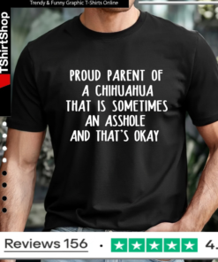 Proud Parent Of A Great Kid That Is Sometimes An Asshole And That's Okay_T-shirt