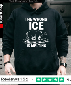 The Wrong Ice Is Melting bear retro_Hoodie