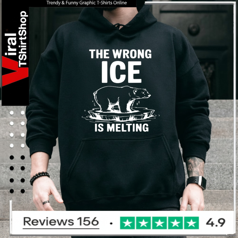 The Wrong Ice Is Melting bear retro_Hoodie