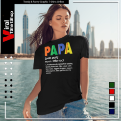 Papa Noun Definition Essential Ladies T-Shirt
