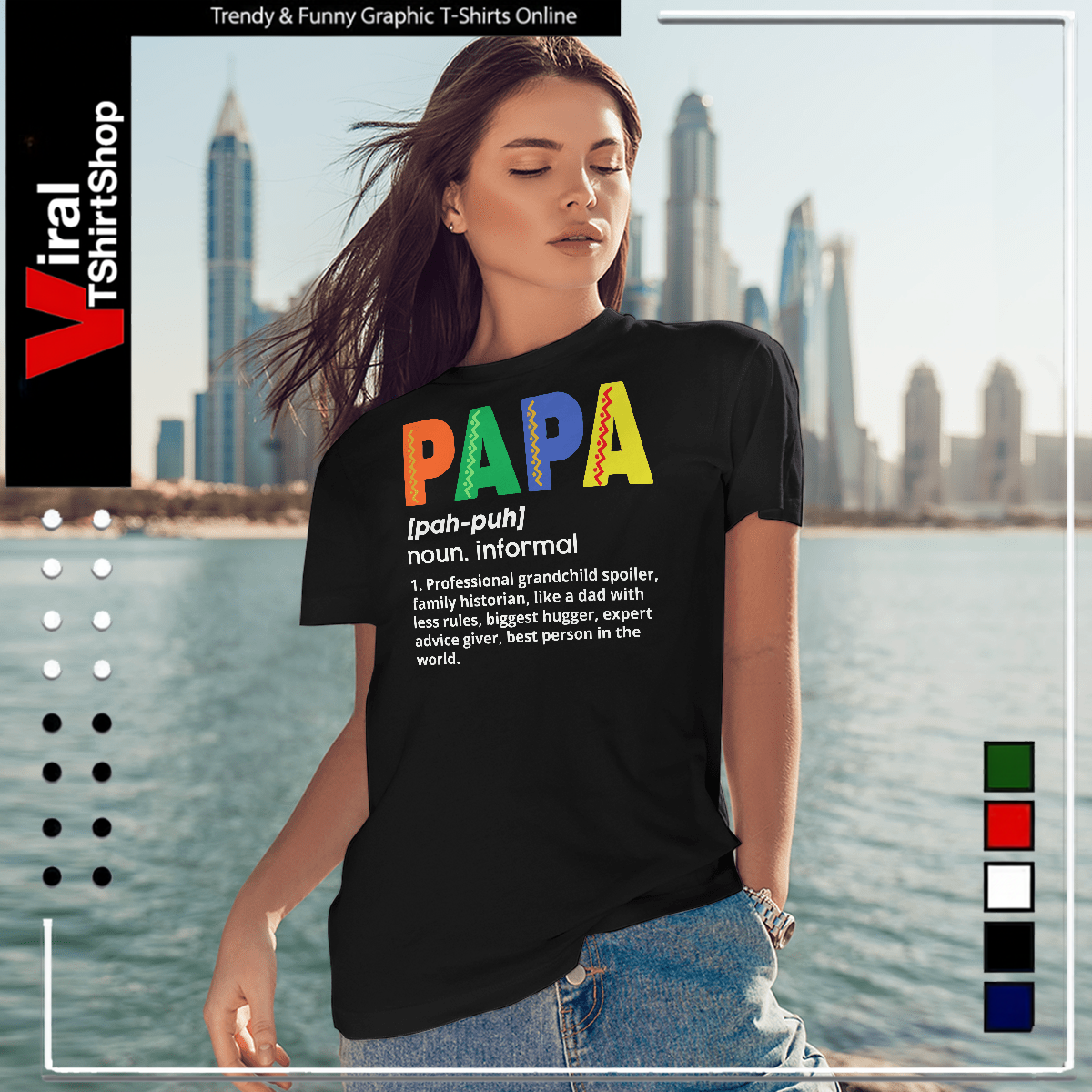 Papa Noun Definition Essential Ladies T-Shirt