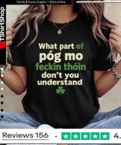 Póg Mo Feckin Thóin Ladies T-Shirt