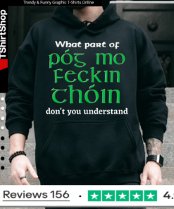 What Part of Póg mo feckin thóin Don't You Understand Hoodie
