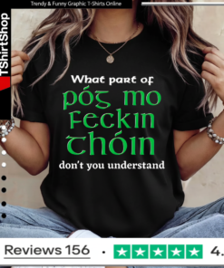 What Part of Póg mo feckin thóin Don't You Understand Ladies T-Shirt