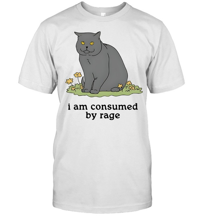 Grey cat I am consumed by rage-Unisex T-Shirt