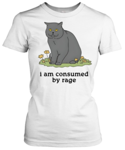 Grey cat I am consumed by rage-Women T-Shirt