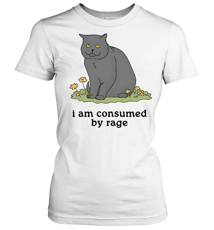 Grey cat I am consumed by rage-Women T-Shirt