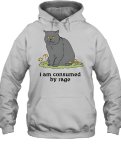 Grey cat I am consumed by rage-Hoodie