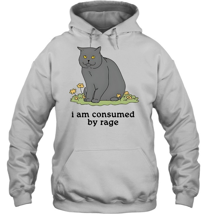 Grey cat I am consumed by rage-Hoodie