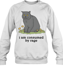 Grey cat I am consumed by rage-Sweatshirt