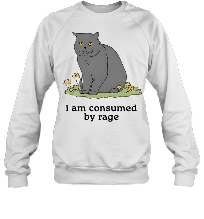 Grey cat I am consumed by rage-Sweatshirt