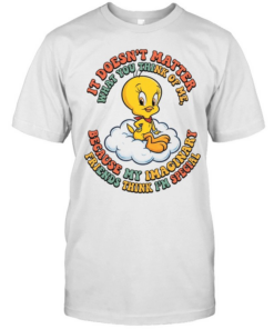 IT DOESN'T MATTER WHAT YOU THINK OF ME  Classic Men's T-shirt