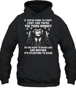 If You're Going To Fight  Unisex Hoodie