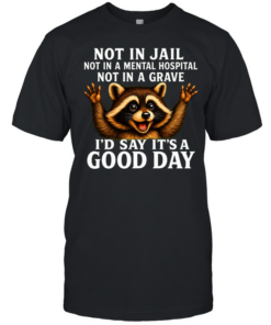 Not In Jail Not In A Mental Hospital Not In A Grave  Classic Men's T-shirt