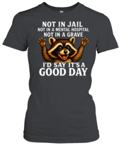 Not In Jail Not In A Mental Hospital Not In A Grave  Classic Women's T-shirt