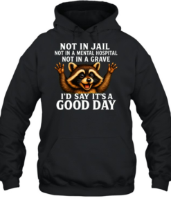 Not In Jail Not In A Mental Hospital Not In A Grave  Unisex Hoodie
