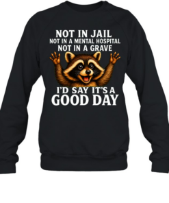 Not In Jail Not In A Mental Hospital Not In A Grave  Unisex Sweatshirt