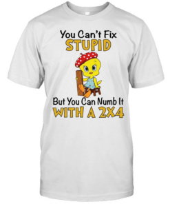 Tweety Bird you can’t fix stupid but you can numb it with a 2×4  Classic Men's T-shirt