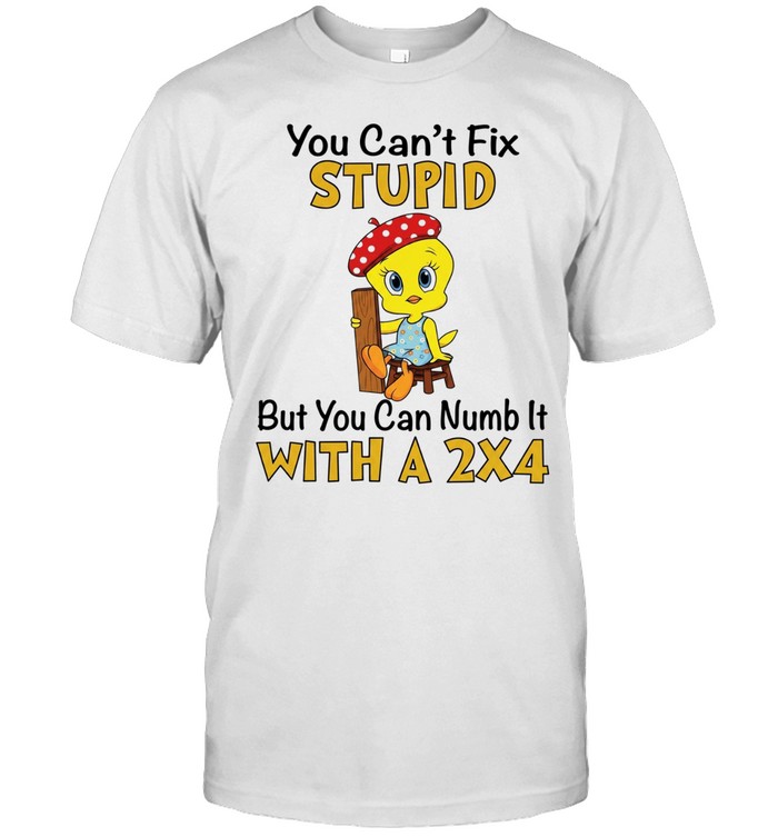 Tweety Bird you can’t fix stupid but you can numb it with a 2×4 Classic Men's T-shirt
