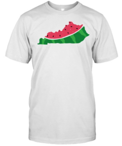 Watermelon KY Shape  Classic Men's T-shirt