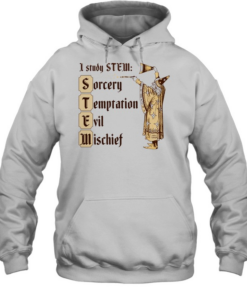 Wizard I study stem sorcery temptation evil mischief Unisex Hoodie