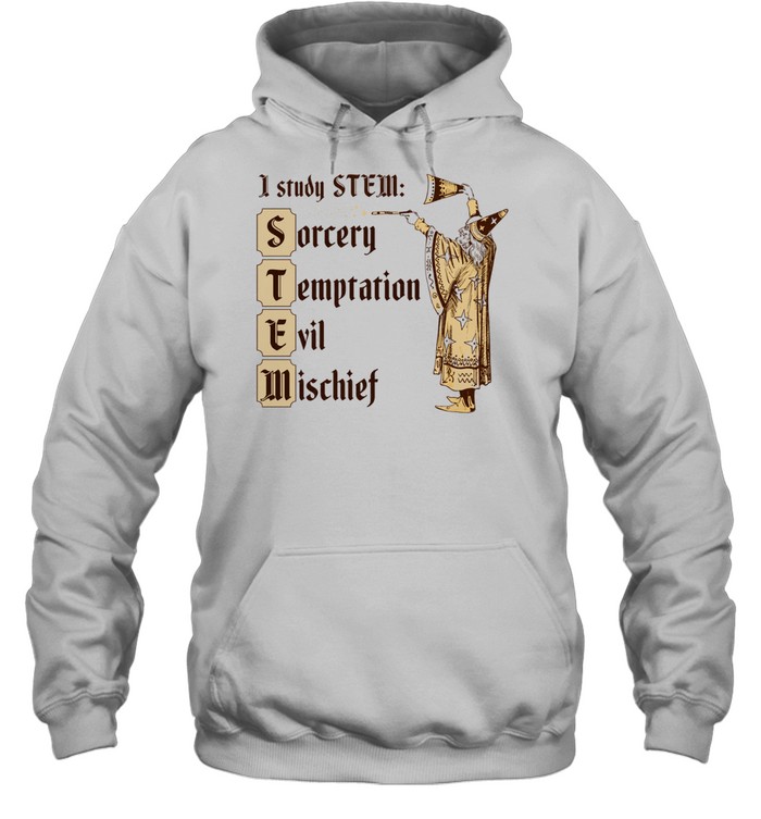 Wizard I study stem sorcery temptation evil mischief Unisex Hoodie
