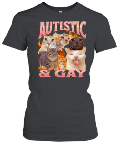 Autistic and Gay cats flame aesthetic print aesthetic funny meme Classic Women's T-shirt