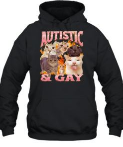 Autistic and Gay cats flame aesthetic print aesthetic funny meme Unisex Hoodie