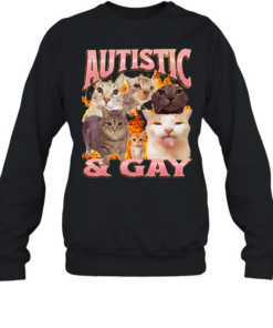 Autistic and Gay cats flame aesthetic print aesthetic funny meme Unisex Sweatshirt