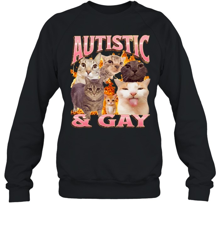 Autistic and Gay cats flame aesthetic print aesthetic funny meme Unisex Sweatshirt