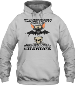 Bat My Grandchildren Are Absolutely Awesome They Must Have Inherited It From Their Groovy Old Grandpa T Unisex Hoodie