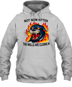 Black Panther not now kitten the walls are closing in  Unisex Hoodie