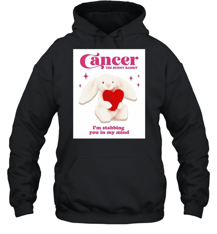 Cancer the bunny rabbit I’m stabbing you in my mind Unisex Hoodie