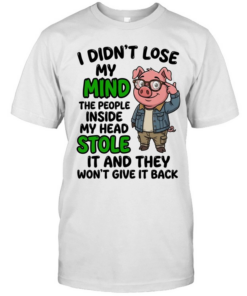 I Didn't Lose My Mind The People Inside My Head Stole It And They Won't Give It Back  Classic Men's T-shirt