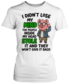 I Didn't Lose My Mind The People Inside My Head Stole It And They Won't Give It Back  Classic Women's T-shirt