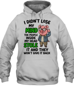 I Didn't Lose My Mind The People Inside My Head Stole It And They Won't Give It Back  Unisex Hoodie