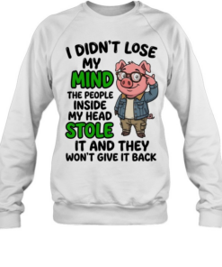 I Didn't Lose My Mind The People Inside My Head Stole It And They Won't Give It Back  Unisex Sweatshirt