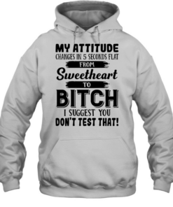 My Attitude Changes In 5 Seconds Flat T Unisex Hoodie
