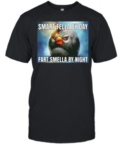 Smart fellas by day fart smellas by night  Classic Men's T-shirt
