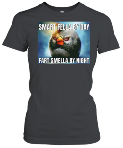 Smart fellas by day fart smellas by night Classic Women's T-shirt